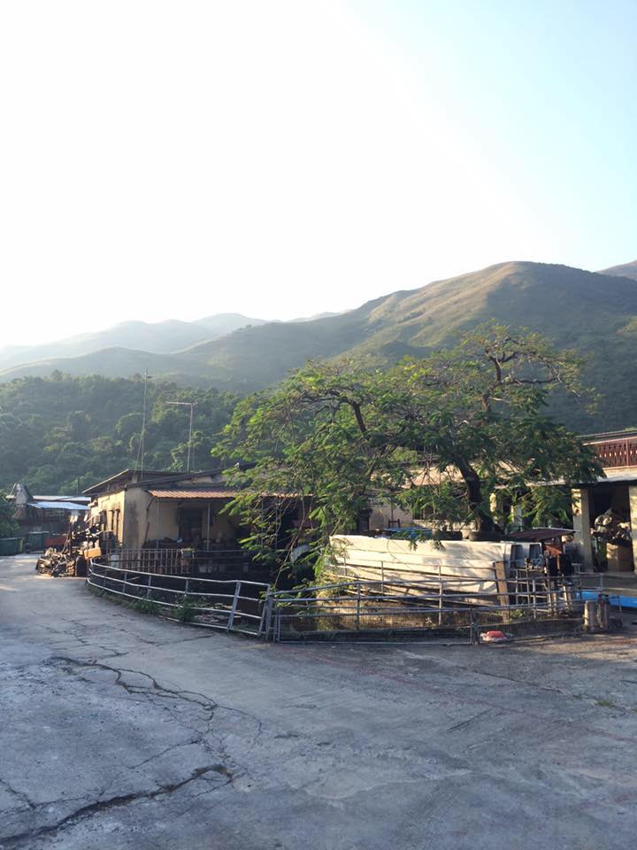 farm